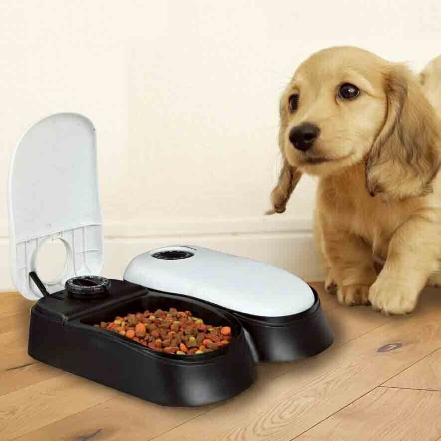 2-Meal Automatic Pet Feeder Food Dispenser with Timer Bowls for Dogs Cats - grandhubs.shop