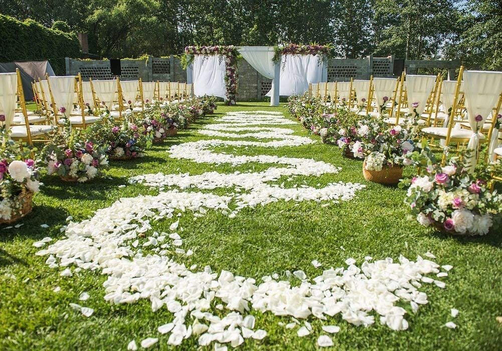 100 Wedding Bridal Flower Rose Petals (Ivory) - grandhubs.shop