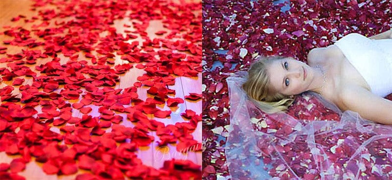 100 Wedding Bridal Flower Rose Petals (Raspberry Rose) - grandhubs.shop