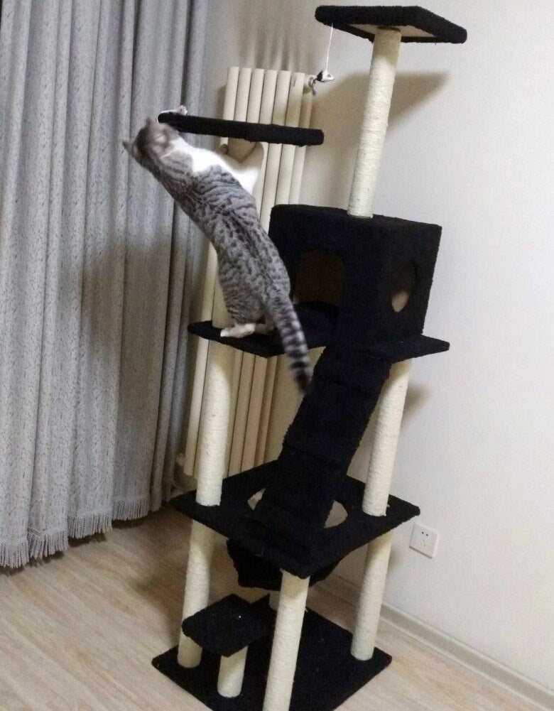 195cm Tall XXL Cat Scratching Post Pole Tower with Hammock (Black) - grandhubs.shop