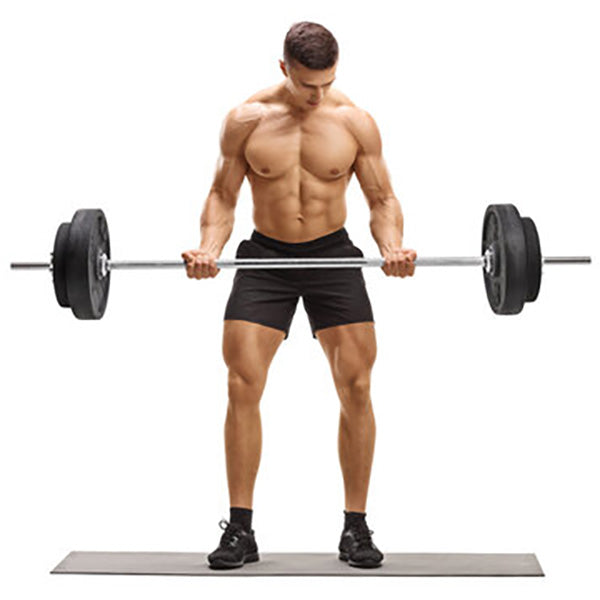 Standard Barbell Weight Lifting Bar 1.8m