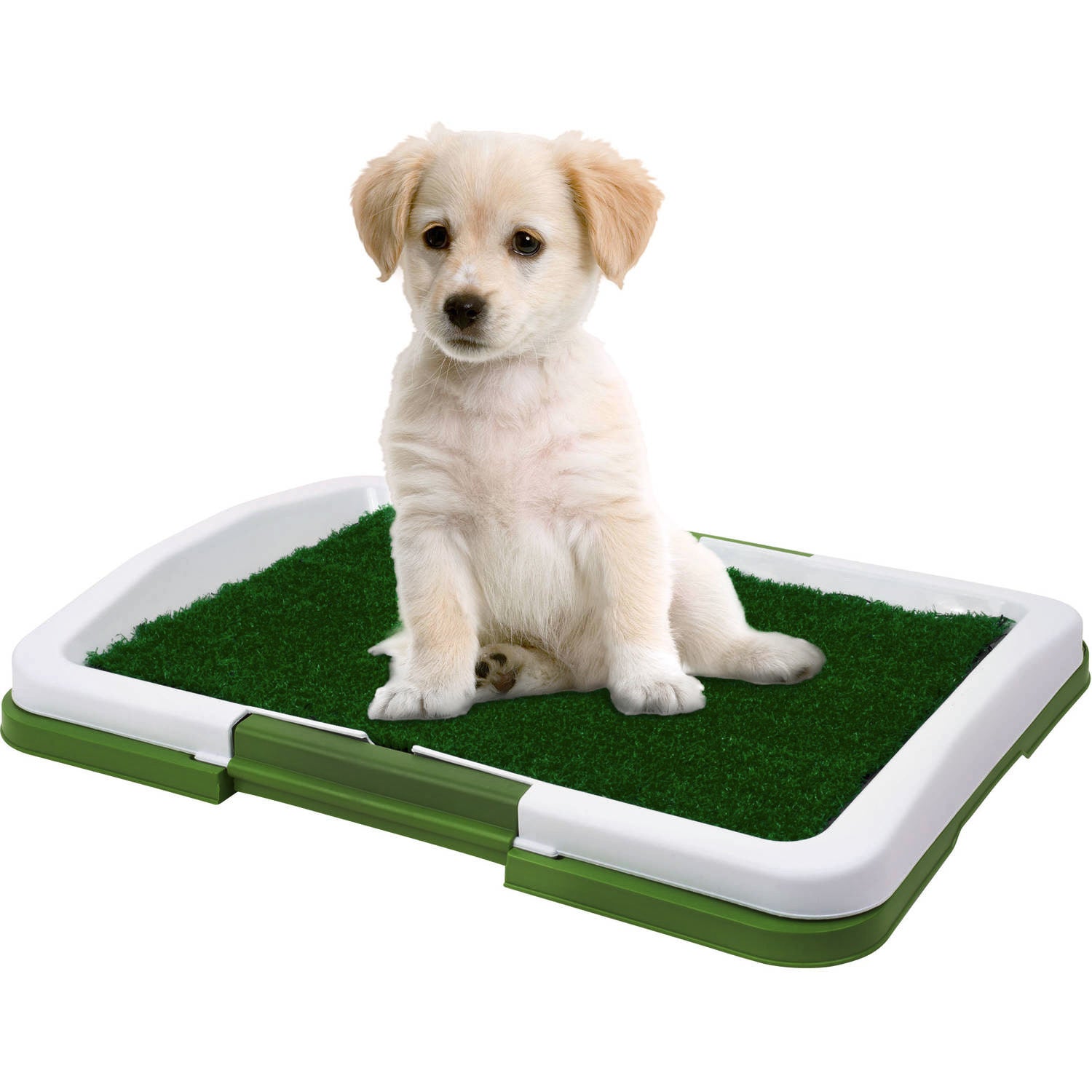 Puppy Potty Pad Indoor Pet Toilet - grandhubs.shop