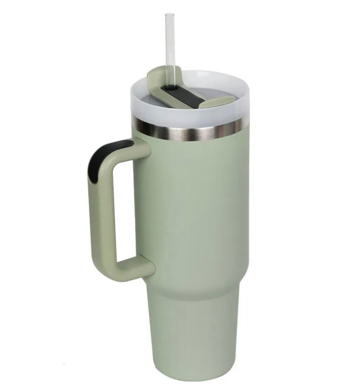 Stainless Steel Insulated Tumbler with Handle Straw Travel Mug (30oz, Eucalyptus Sage)