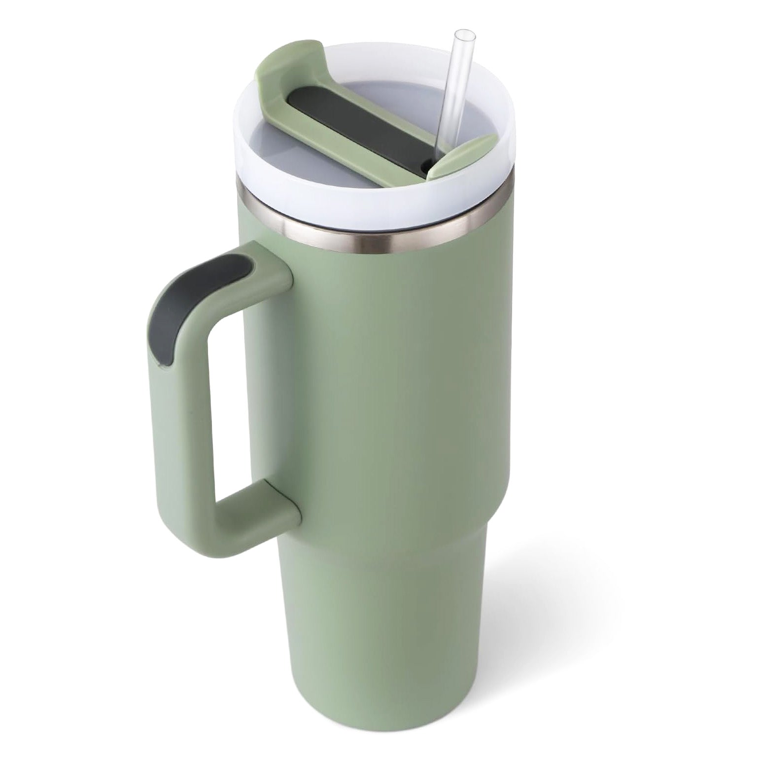Stainless Steel Insulated Tumbler with Handle Straw Travel Mug (30oz, Eucalyptus Sage)
