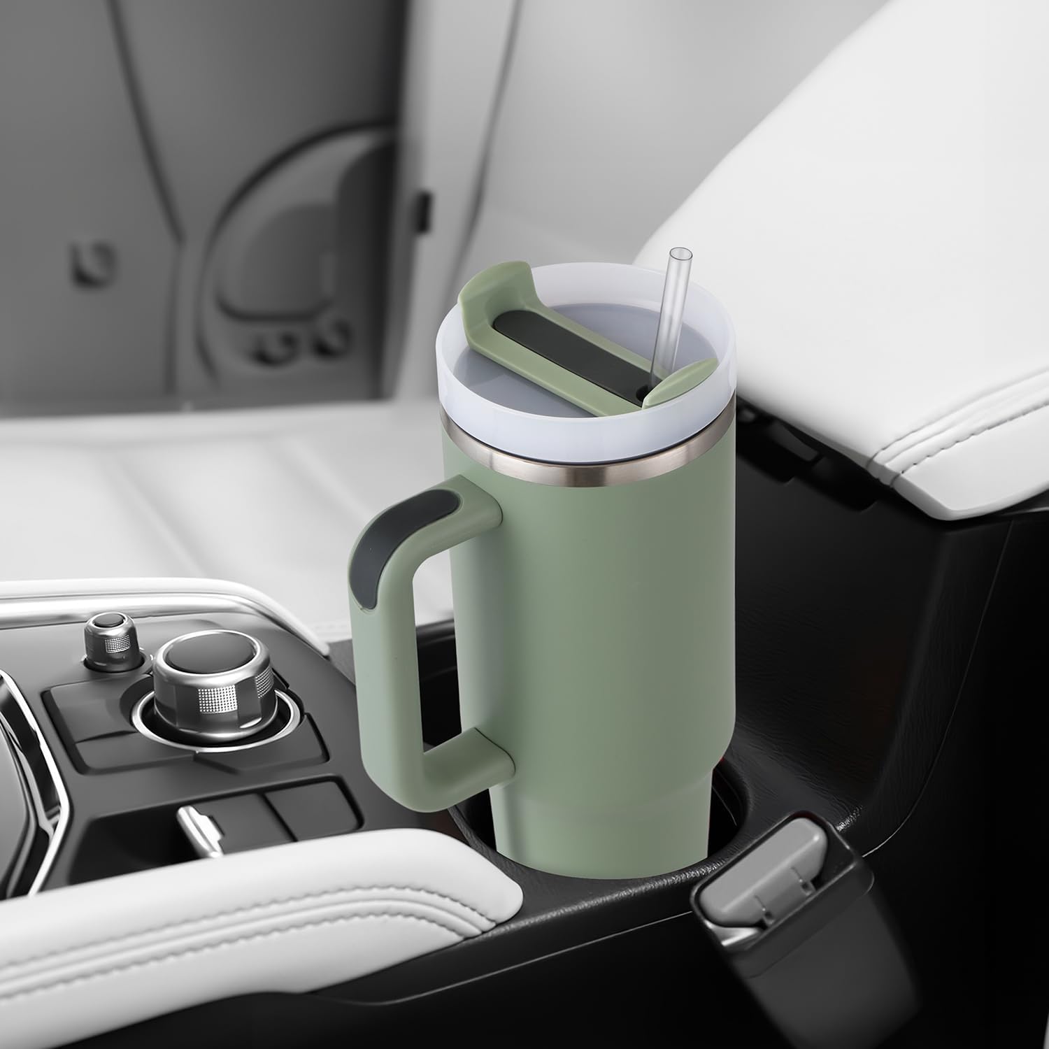 Stainless Steel Insulated Tumbler with Handle Straw Travel Mug (30oz, Eucalyptus Sage)