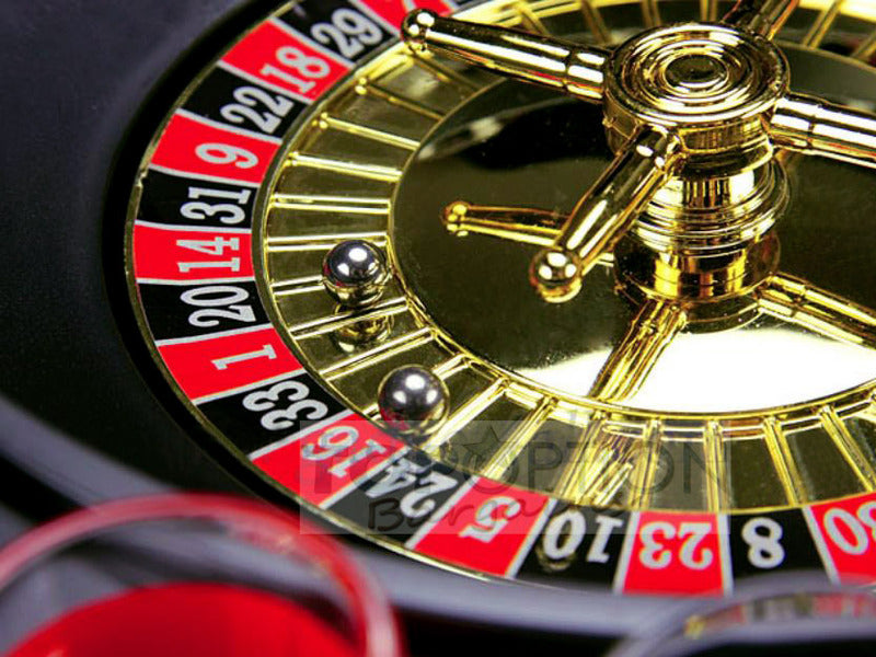 Spin and Shot Drinking Roulette Game Set
