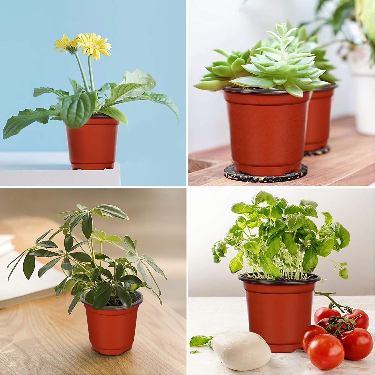 100 X Plant Flower Garden Pots Nursery Seedlings Pot Growing Container (150mm)