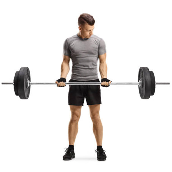 Standard Barbell Weight Lifting Bar 1.8m