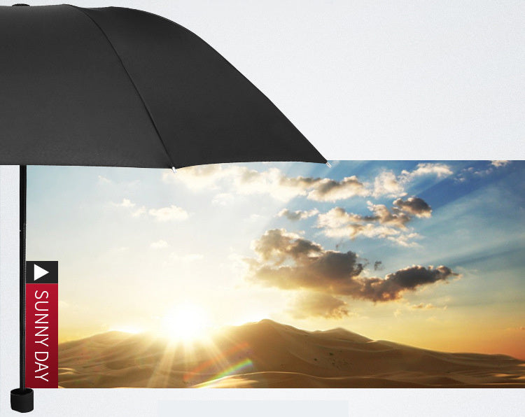 Windproof Rain & Shine Folding Umbrella (Black)