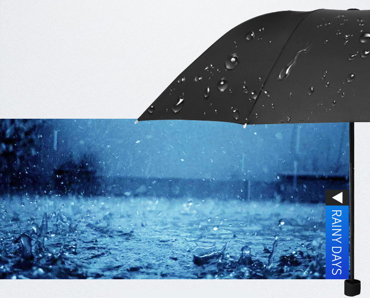 Windproof Rain & Shine Folding Umbrella (Black)